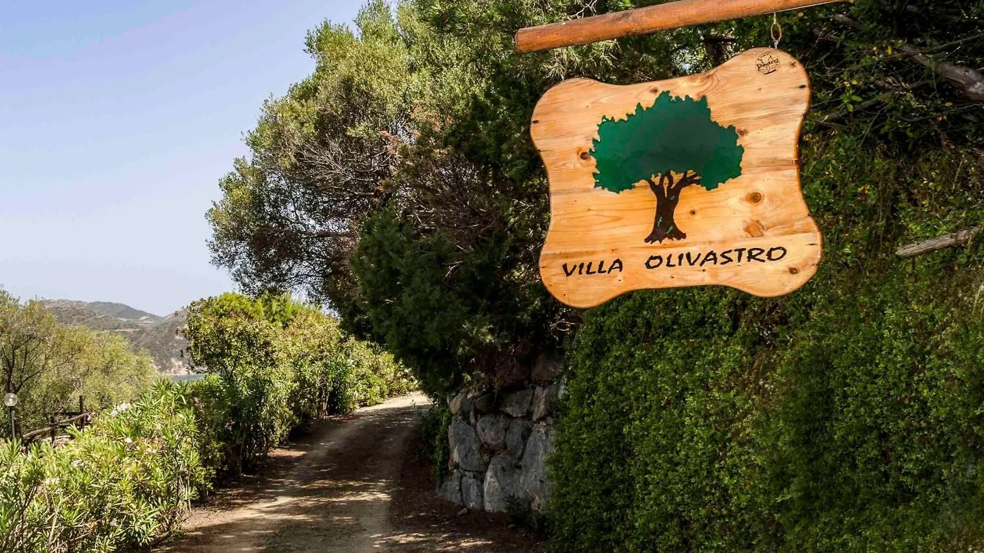 Villa Olivastro توري ديل ستيل