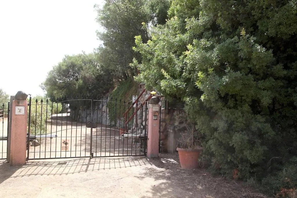 Villa Olivastro Torre delle Stelle 0*,  Italy